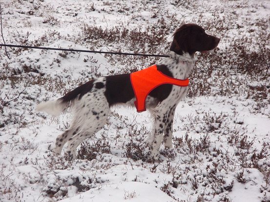 Riina tuntureilla marraskuussa 2007, kuva: Kati Alajrvi